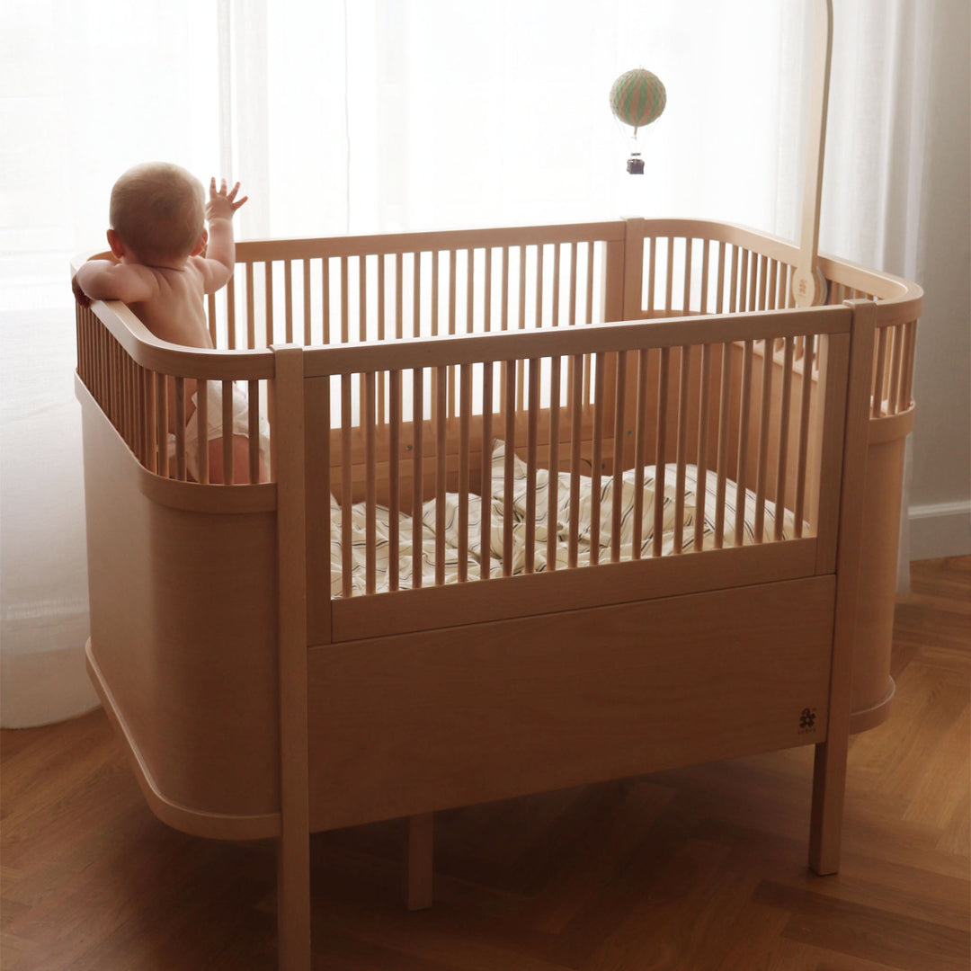 Sebra song, Baby og Junior, Wooden