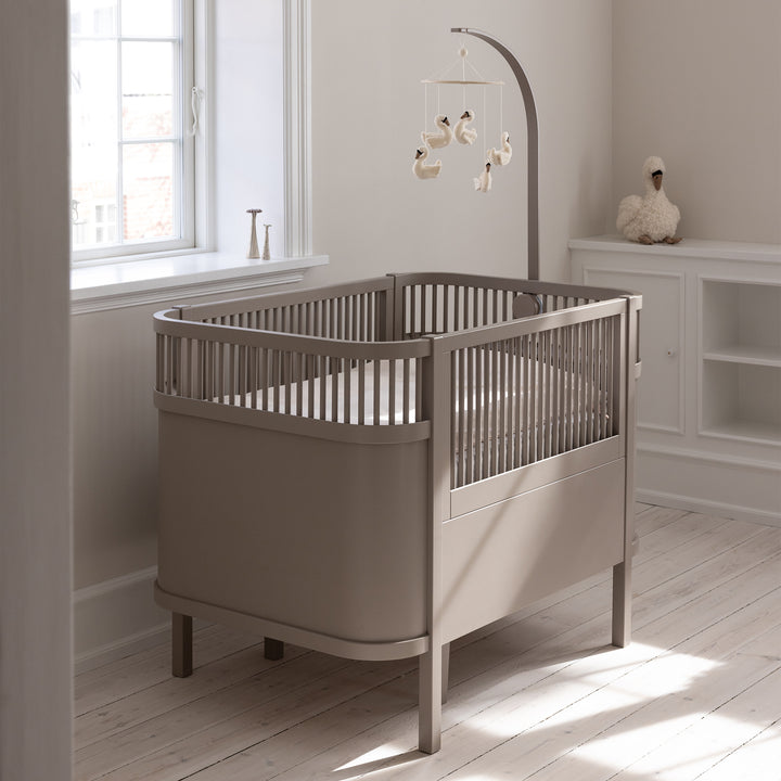 Sebra song, Baby og Junior, Jetty Beige