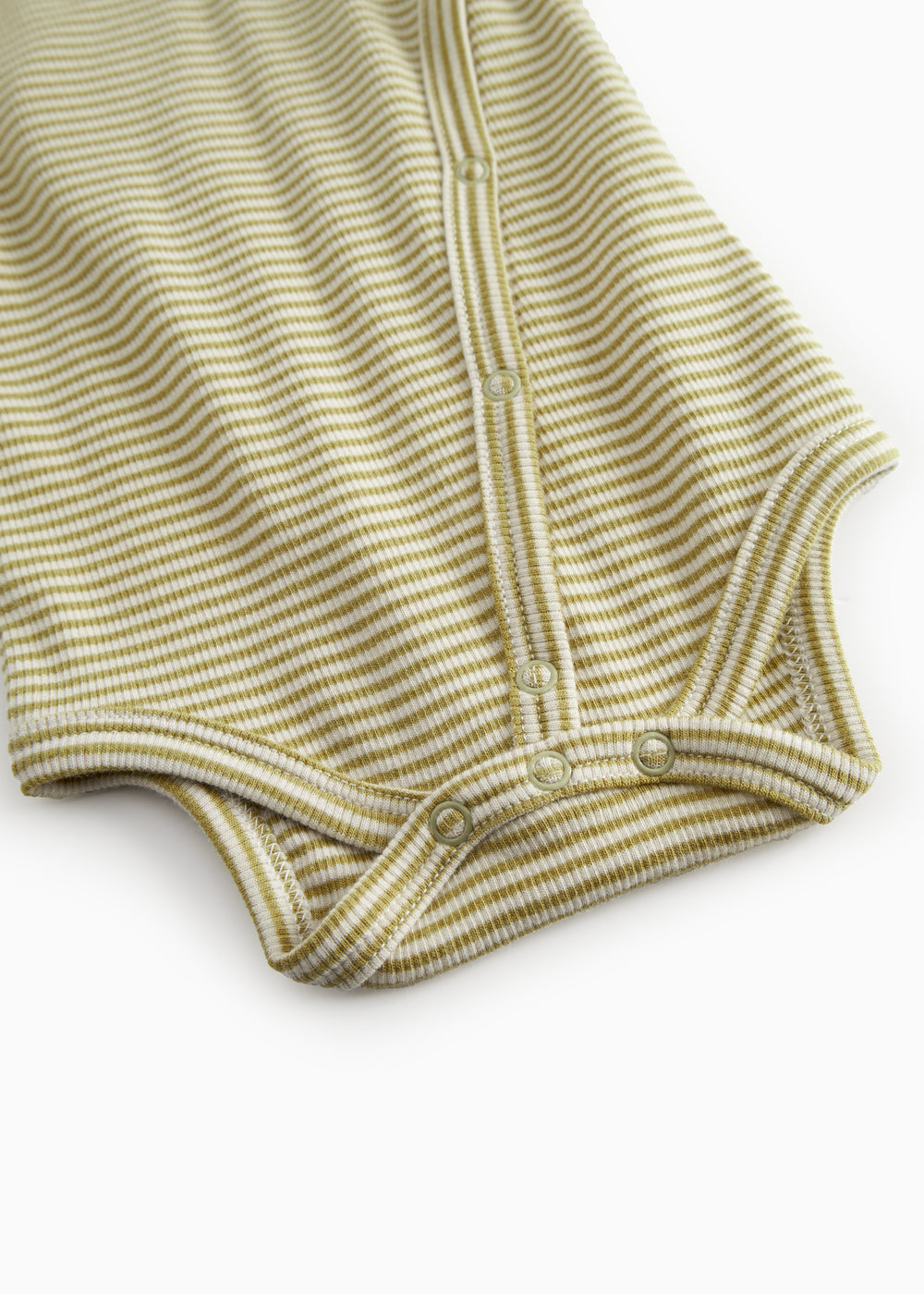 Bellis body, Olive Stripe