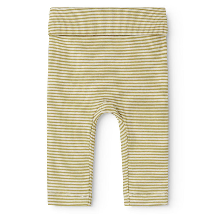 Piva buksur, Olive Stripe