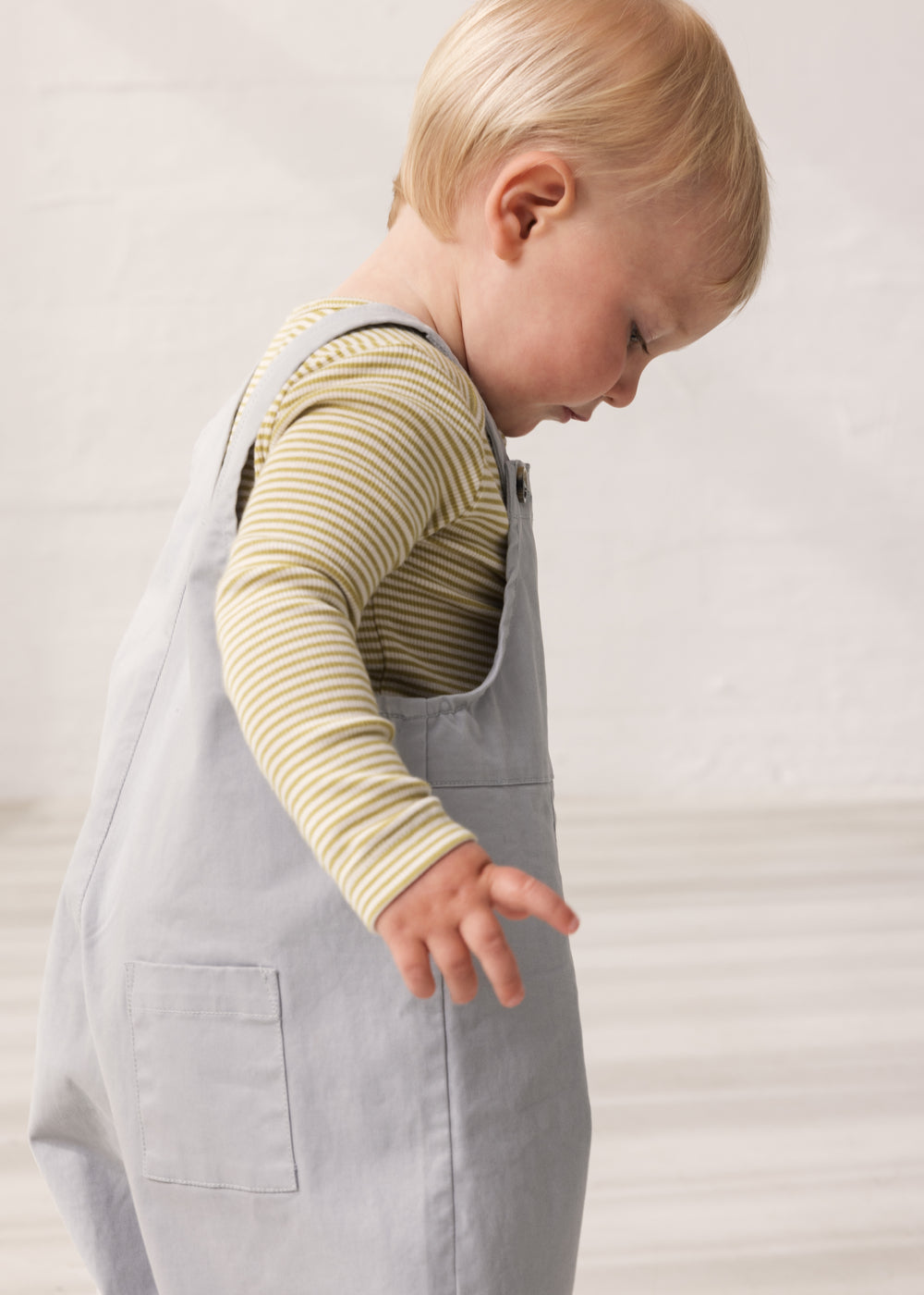 Ben body, Olive Stripe