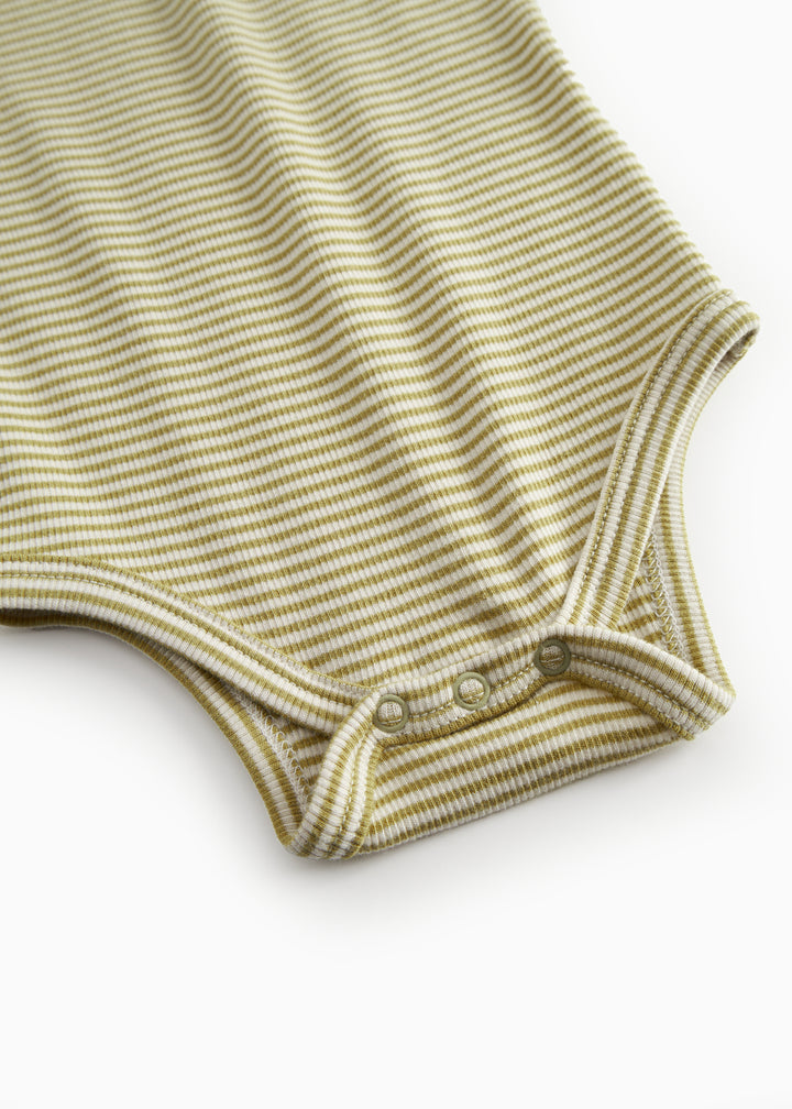 Ben body, Olive Stripe