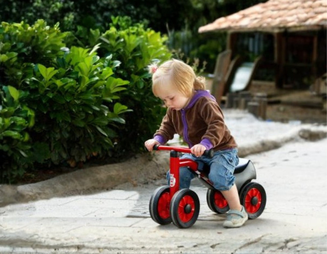 Viking Safety Scooter