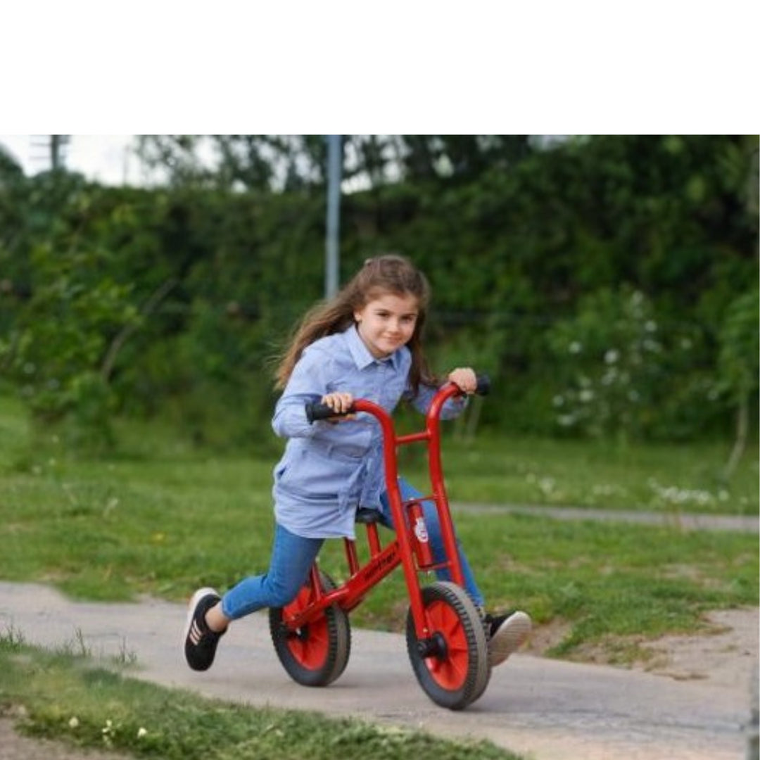 Viking BikeRunner, Large