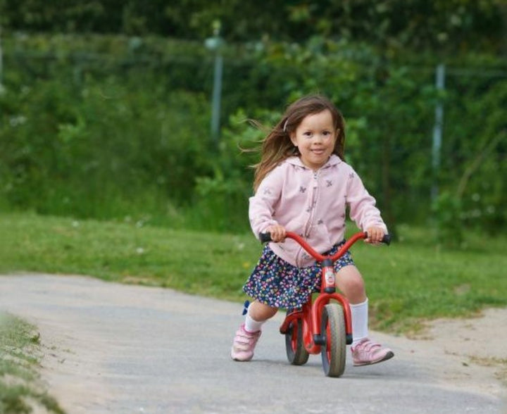 Viking Mini BikeRunner