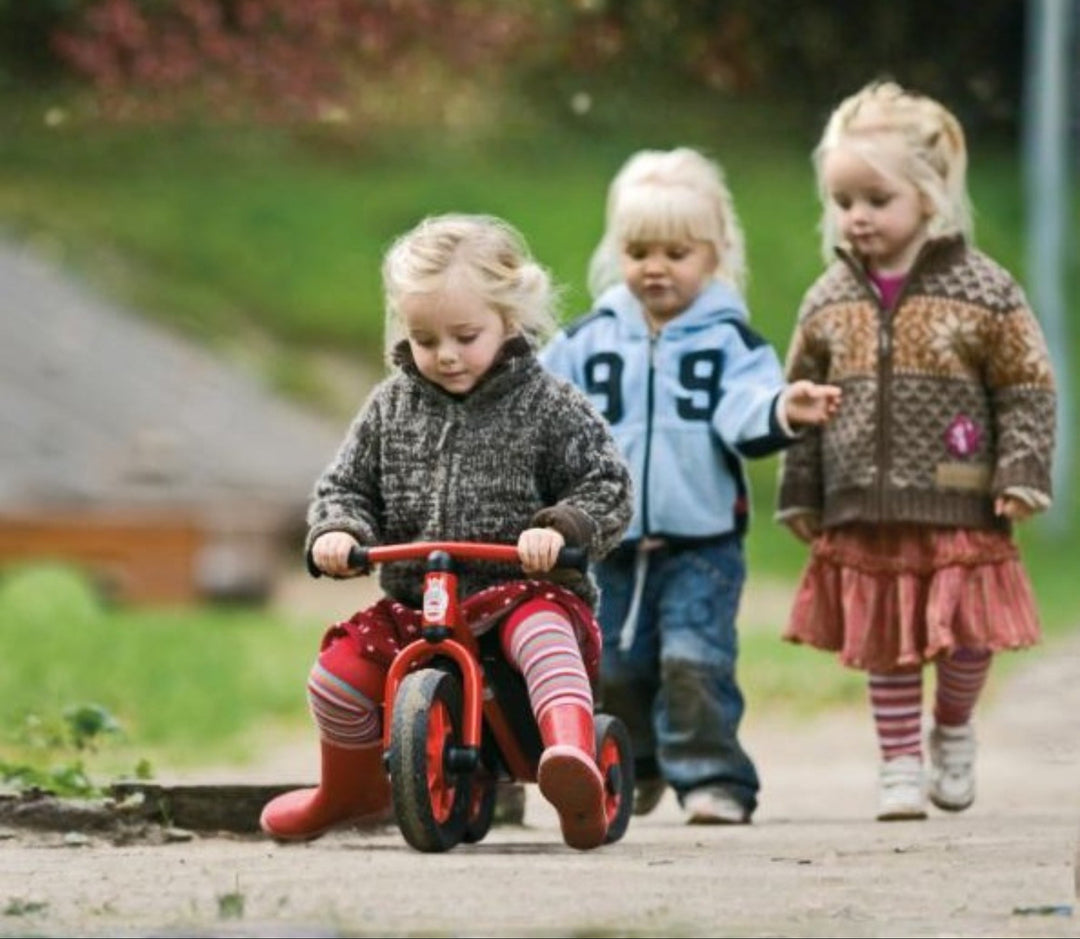 Viking Racing Scooter