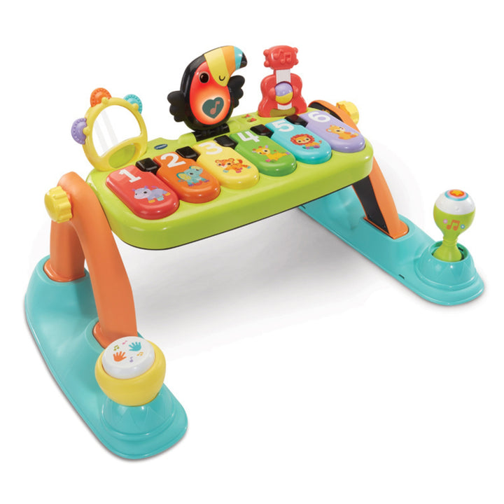 5-in-1 Toucan Tunes Gym