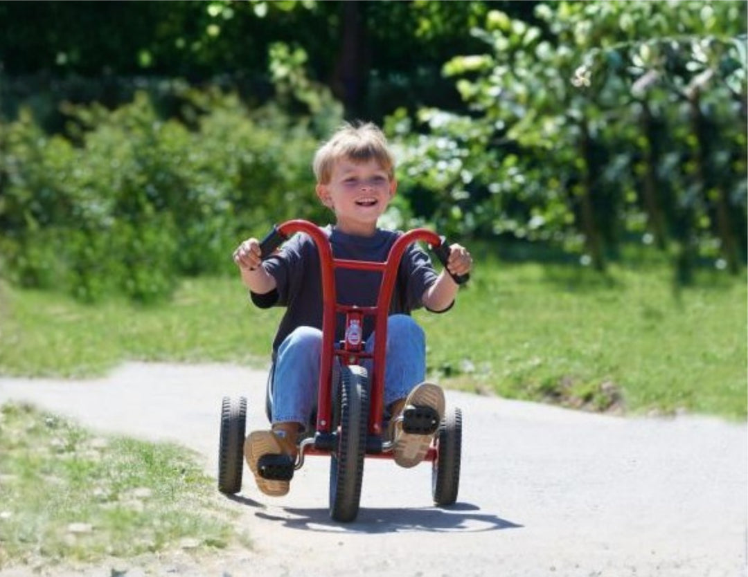 Viking EasyRider