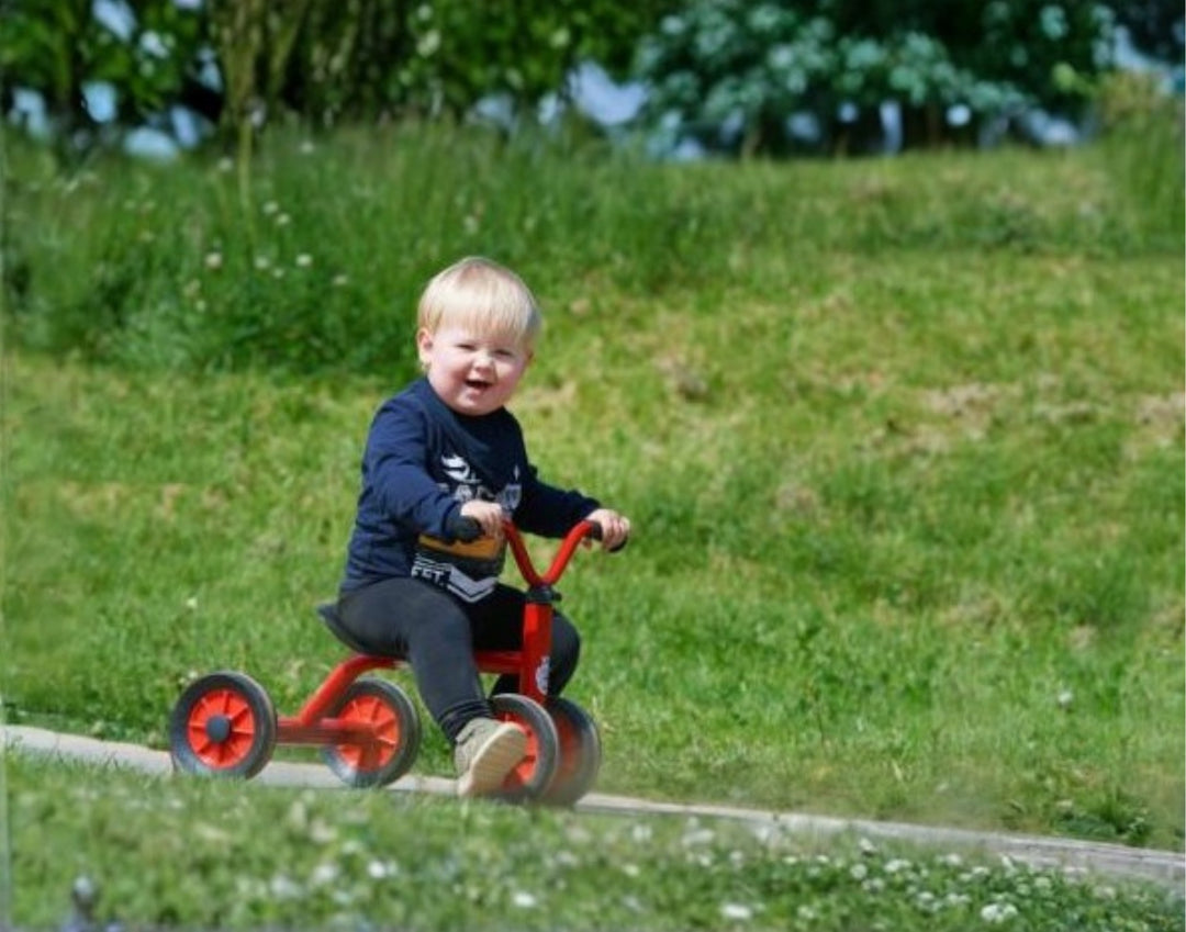 Viking PushBike
