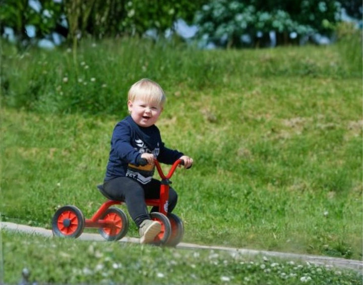 Viking PushBike