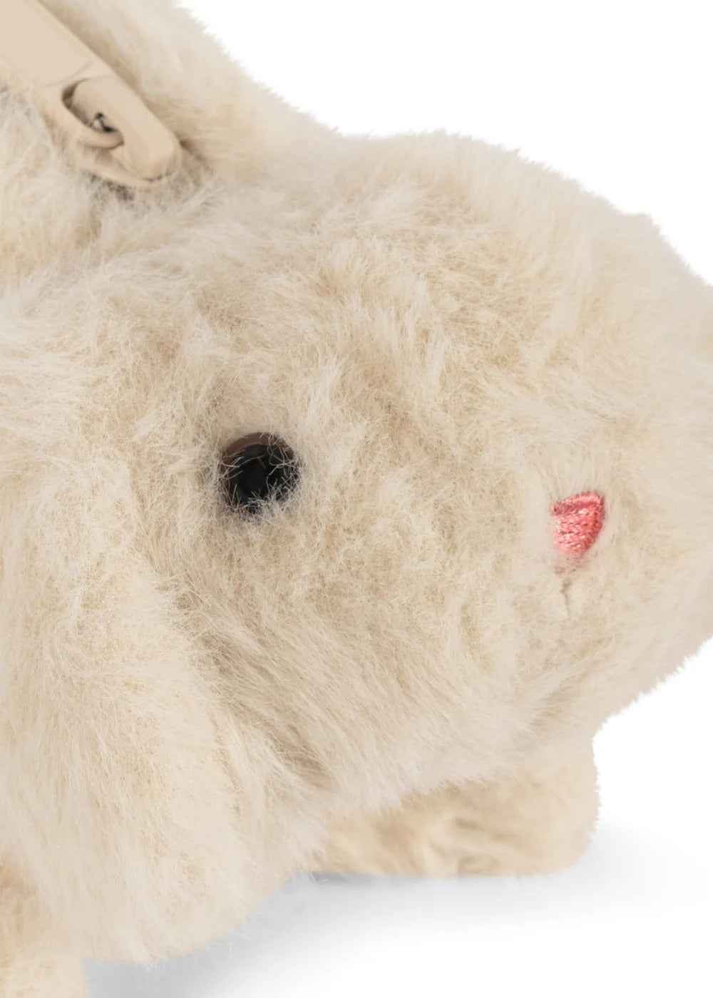 Teddy mappa