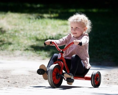 Viking Mini EasyRider