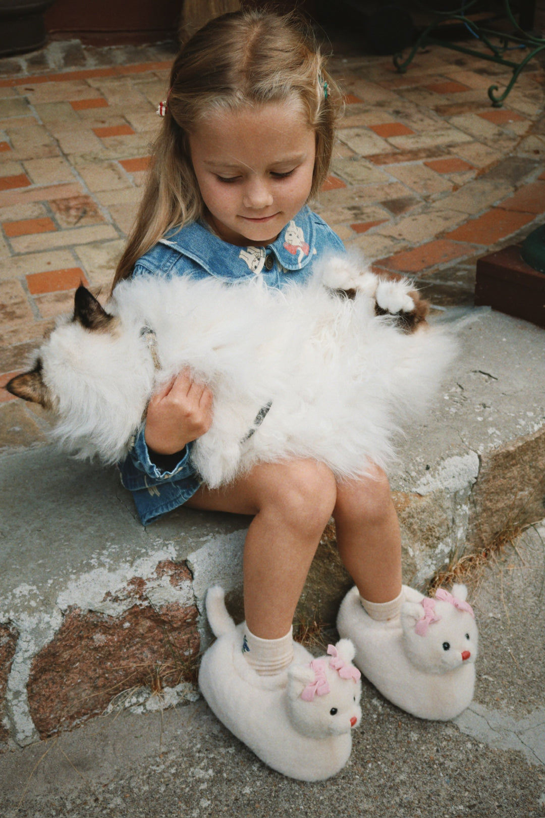 Kitty inniskógvar