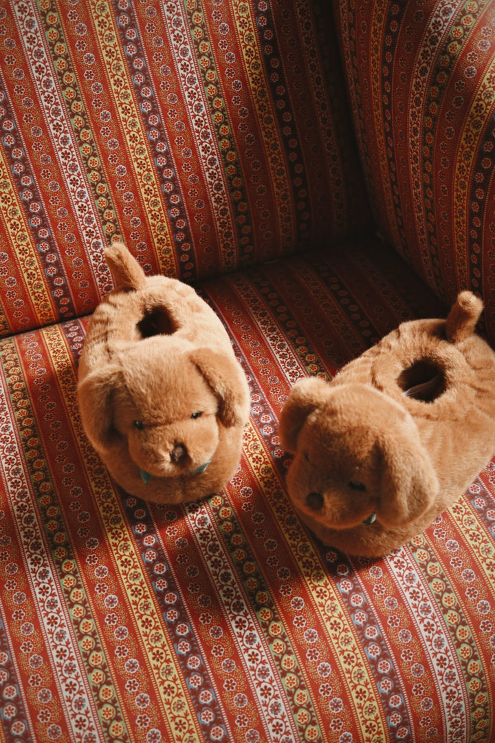 Sausage Dog inniskógvar