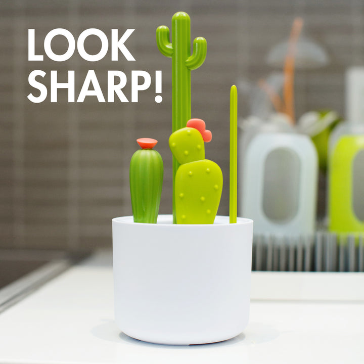 Cacti fløskubust